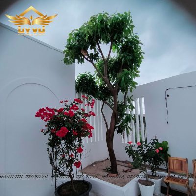 Biệt thự nhà chị Thanh - Sân nhà với nhiều cây xanh