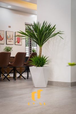 Cảnh bên trong biệt thự chị Kiều Hương