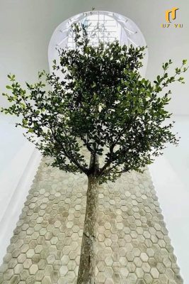 Nhà anh Hải - Decor cây cối