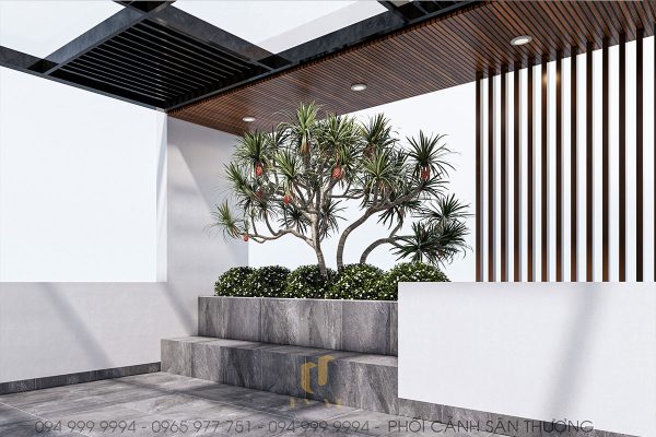 Sân thượng được bố trí tiểu cảnh cây xanh giúp không gian tràn đầy sức sống