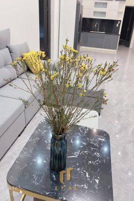 Phòng khách biệt thự chị Linh