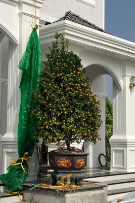 Công trình biệt thự anh Luật