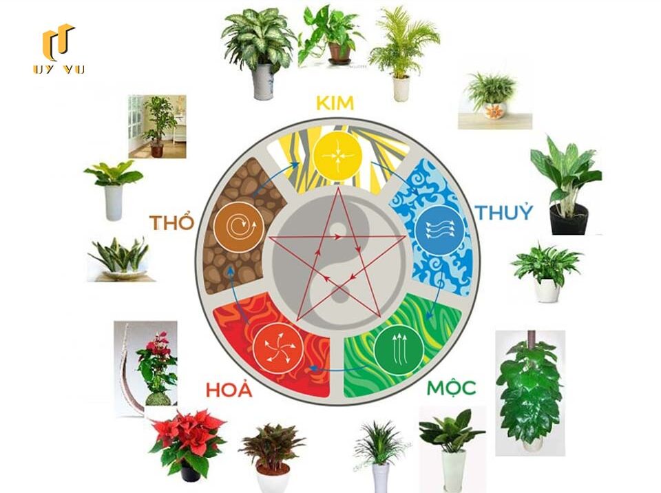Triết lý Ngũ hành và ứng dụng Ngũ hành tương sinh trong thiết kế Ứng dụng trong việc chọn cây cảnh phong thủy theo ngũ hành tương sinh