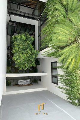 Giếng trời nhìn từ trên cao