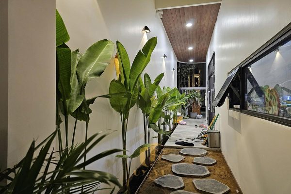 Không gian kết hợp cây xanh tại nhà anh Quang