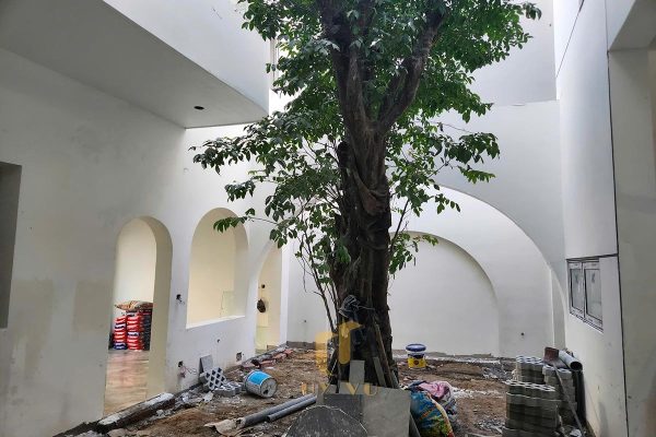 Thi công cây xanh giếng trời