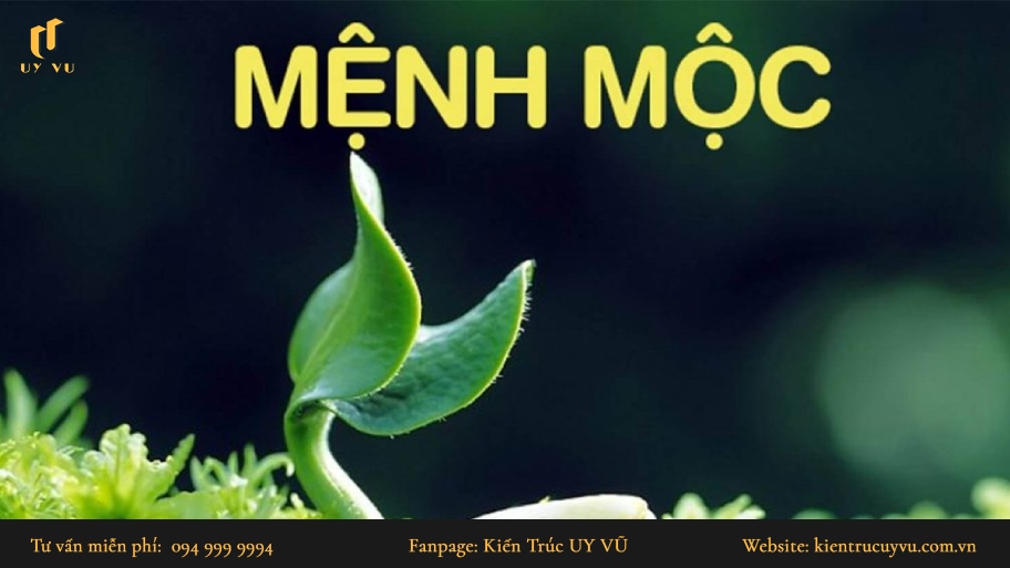 Tìm hiểu cách bố trí phong thủy phòng khách cho người mệnh Mộc Đặc trưng người mệnh Mộc