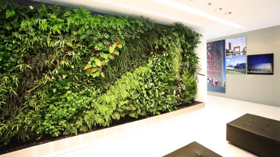 Bức tường phủ cây xanh tự nhiên