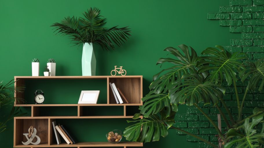 Góc đọc sách nhỏ xinh với kệ mini tiện lợi