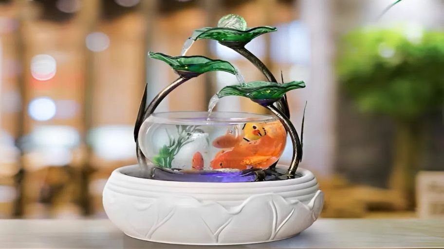 Hồ cá hình bát sen