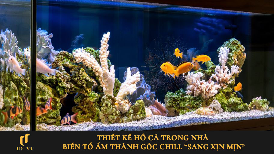 Thiết kế hồ cá trong nhà