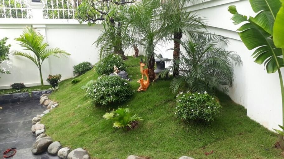 Điểm danh top 5 mẫu thiết kế tiểu cảnh trước nhà đẹp mê ly Mẫu thiết kế tiểu cảnh sân vườn mini trước nhà cấp 4