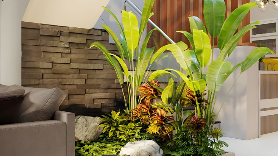 Mẫu tiểu cảnh dành cho phòng khách