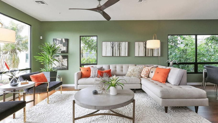 Danh sách đồ trang trí phòng khách giúp nâng cấp không gian sống ngay lập tức Cây xanh thích hợp sử dụng trong phòng khách