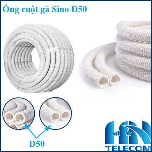 Ong ruot ga sino D50